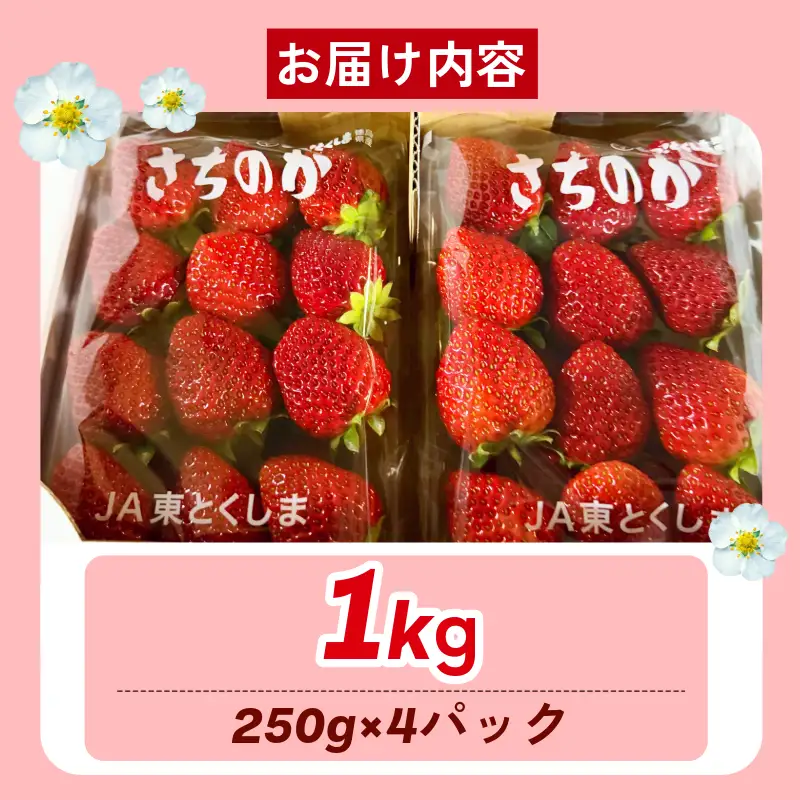 いちご 1kg さちのか 苺