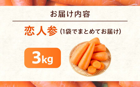 【先行予約】人参 3kg [BAGT003] 人参