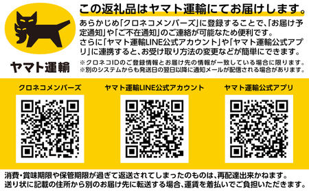 北海道枝幸産 生ホタテ Aフレーク 500g【枝幸ほたて】廣瀬商店【 冷凍 貝柱 割れ 欠け 魚介 海 帆立 BBQ 北海道 オホーツク 枝幸 】