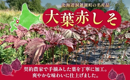赤しそドリンク 180ml×24本  北海道 とうやの 赤しそ シソ しそ 大葉赤紫蘇 ストレート 手詰み 産地直送 ピュアフーズとうや 送料無料 清涼飲料水 しそ飲料 洞爺湖
