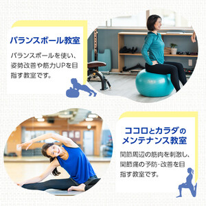 角田市総合体育館 ワンコインレッスン回数券　11回分