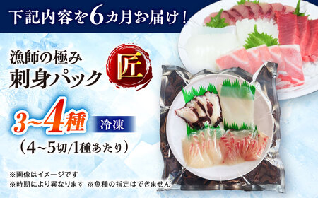 【6回定期便】漁師の極み刺身パック（匠）1皿 五島市/Sun Sea Go Company 魚 おまかせ お任せ 鮮魚 五島列島[PGL023]