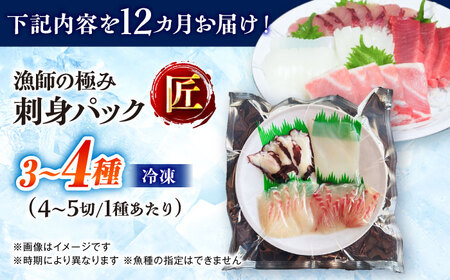【12回定期便】漁師の極み刺身パック（匠）1皿 五島市/Sun Sea Go Company 魚 おまかせ お任せ 鮮魚 五島列島[PGL024]