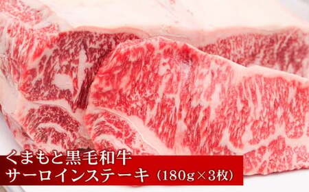 【 3回 定期便 】 馬刺＆くまもと 黒毛和牛の「福袋」 定期便 肉 お肉 牛肉 牛 馬 馬肉 霜降り 赤身 馬刺し 和牛 サーロインステーキ リブロース すき焼き 熊本県 湯前町
