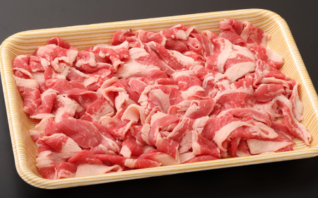 【訳あり】【A4～A5ランク】博多和牛 切り落とし 250g 広川町 / 株式会社木村食品[AFCG049]