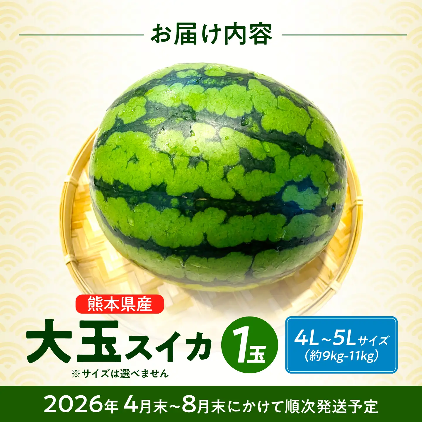【先行予約】 大玉スイカ！ 4L～5Lサイズ（約9kg～11kg）　厳選 1玉！ すいかの名産地 熊本からお届け 【城野農園】[ZFV002]