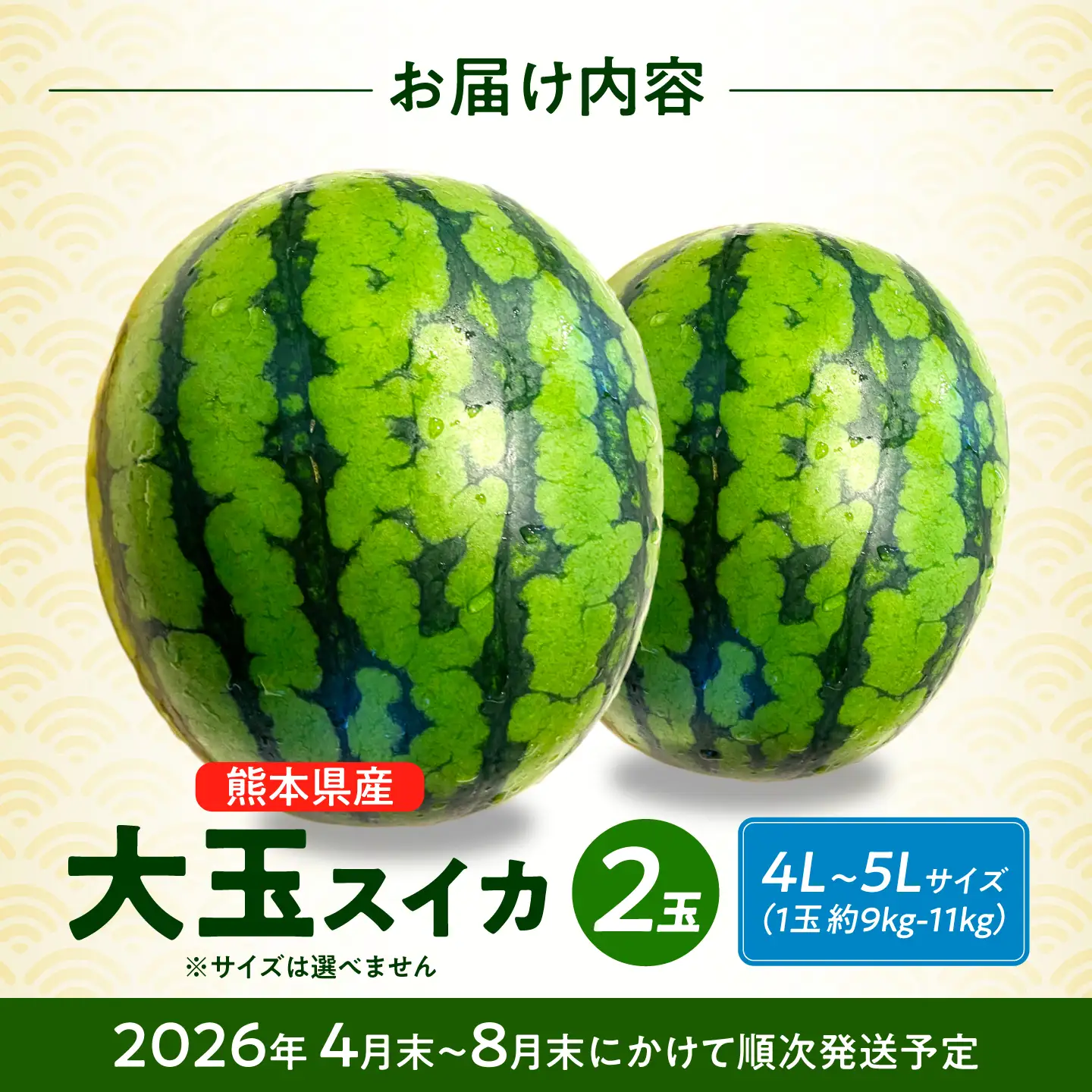 【先行予約】 厳選 2玉！ 大玉スイカ！4L～5Lサイズ（1玉 約9kg～11kg）すいかの名産地 熊本からお届け 【城野農園】[ZFV005]