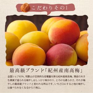 【A級品】紀州南高梅 田舎梅 500g 塩分10％ / 梅干し 梅干 うめぼし 南高梅 国産 梅 うめ ウメ 完熟 健康 ご飯のお供 昔ながら 贈り物 ギフト プレゼント お取り寄せ せんのうめ 和歌山県 田辺市 仙宝【spo008】