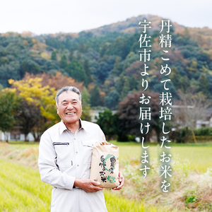 ヒノヒカリ 白米 (5kg) お米 ごはん ご飯 ひのひかり 数量限定 【118300300】【真田　定二】