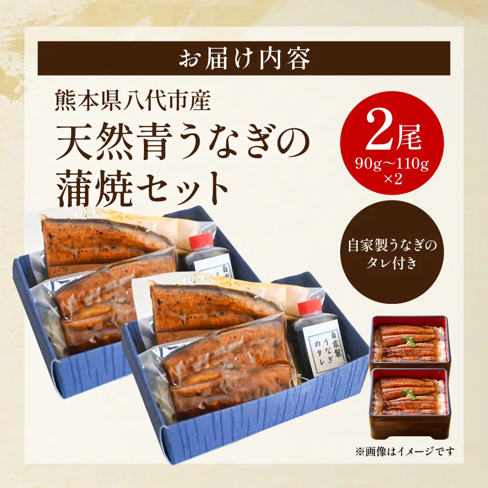 熊本県 八代市産 天然青うなぎの蒲焼 蒲焼セット 2尾（90g～110g×2） 自家製うなぎのタレ 鰻 ウナギ うなぎの蒲焼 丑の日 国産 うな丼 うな重