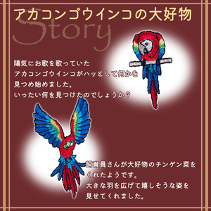 おはなし靴下 ギフトボックス アカコンゴウインコ キッズ ネイビー