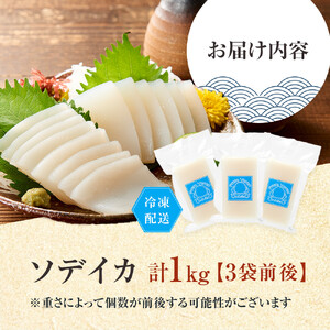 ヨロン島特産☆あま～いソデイカ 1kgセット | イカ