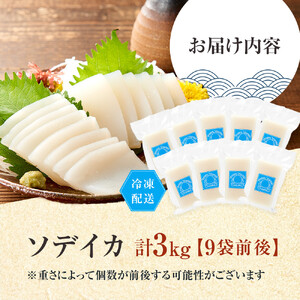 ヨロン島特産☆あま～いソデイカ 3kgセット | イカ