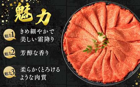【12ヵ月定期便】訳あり 飛騨牛 切り落としスライス 2kg 牛 牛肉 切り落とし カレー ｜ 訳アリ 肉 牛 牛肉 国産 お届け：12月中旬～1月初旬のお申込は1月中旬以降の順次出荷になる※離島への配送不可