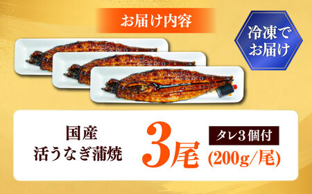 国産活うなぎ蒲焼（3本入）[AICQ009]