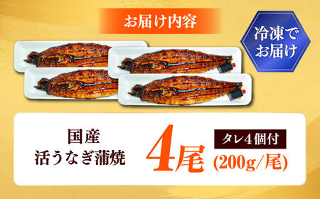 国産活うなぎ蒲焼（4本入）[AICQ010]