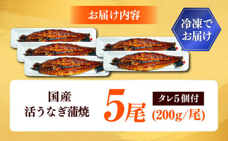 国産活うなぎ蒲焼（5本入）[AICQ011]