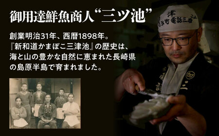 【2026年12月中旬-発送】老舗蒲鉾店のお歳暮・お正月用 計7種 詰合せ / 蒲鉾 ヘルシー 魚介類 練り物 贈答用 お歳暮 年末 正月 おせち 年内発送 / 南島原市 / 三ツ池[SCK022]