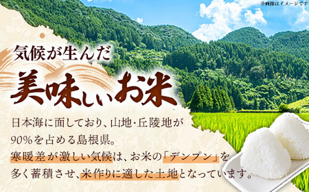 比田米 特別栽培コシヒカリ(精米)5kg【令和7年産 米 お米 こしひかり ごはん ご飯 有機肥料 国産】
