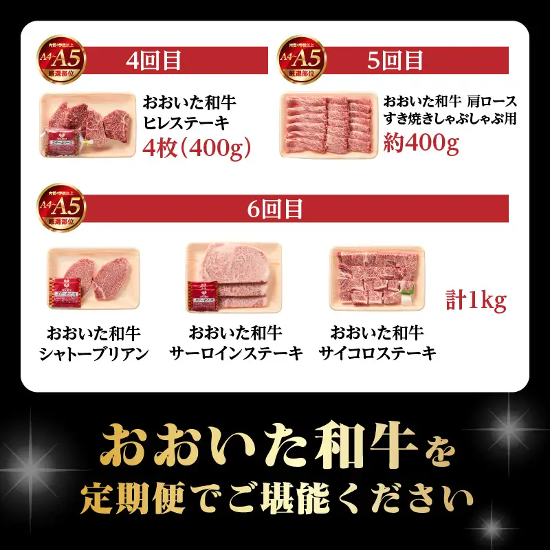 【毎月配送】【おおいた和牛堪能】毎月6回お届け定期便 T10099