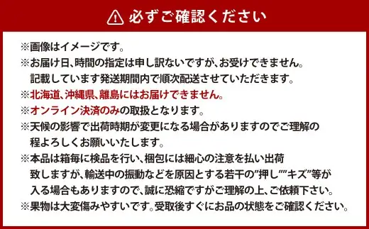 【全2回定期便】家庭用 シャインマスカット 晴王 2房（1房約530g以上）＋ KOJIMA GENES キーホルダー フルーツ 果物 ブドウ ぶどう 葡萄 シャインマスカット マスカット 国産 ギフト 贈答 【2026年10月・11月発送予定】