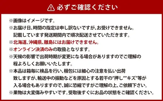 【全2回定期便】家庭用 シャインマスカット 晴王 2房（1房約530g以上）＋ NEWS PAPER BAG（INDIGO） フルーツ 果物 ブドウ ぶどう 葡萄 シャインマスカット マスカット 国産 ギフト 贈答 【2026年10月・11月発送予定】