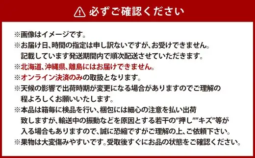 【全2回定期便】 家庭用 シャインマスカット 晴王 2房（1房約530g以上）＋ NEWS PAPER BAG（Hickory） フルーツ 果物 ブドウ ぶどう 葡萄 シャインマスカット マスカット 国産 ギフト 贈答 【2026年10月・11月発送予定】