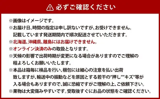 【全2回定期便】 家庭用 ピオーネ 2房（1房約530g以上）＋ NEWS PAPER BAG（INDIGO） フルーツ 果物 ブドウ ぶどう 葡萄 国産 ギフト 贈答 【2026年9月・11月発送予定】
