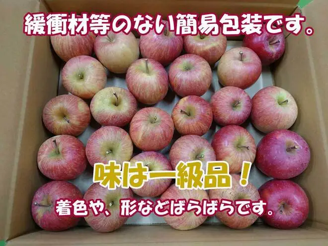 【2026年産】 シャキシャキ葉とらず ふじりんご 約3kg 特別栽培農産物 長野県産 訳あり りんご リンゴ フルーツ 果物 おやつ デザート 信州 上田 家庭用