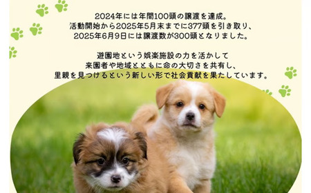 【活動応援】那須ハイ＆りんどう湖　SOS保護犬活動　オリジナルステッカー(1)〔A-56〕| 保護犬 ステッカー シール 日用品 雑貨 支援 動物愛護 応援 地域応援 愛犬 愛犬家 動物 ペット 社会貢献 保護活動 那須 栃木県 那須町