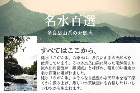 定期便 (3回定期便) さがん氷 バラエティセット 【キューブタイプ1.1kg・スティックアイス10本・丸氷3個】D-279 藤津製氷 こおり 氷 ロック アイス 佐賀 鹿島 九州