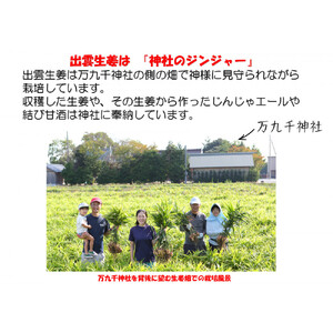 出雲生姜ぽかぽかセット