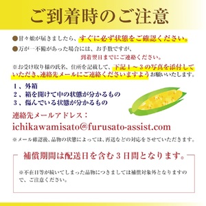 極甘フルーツとうもろこし「甘々娘（かんかんむすめ）」特Ａ品・激選贈答用 5～6本入り 【2026年6月中旬から発送】 アグリ甲斐 [5839-8579] 