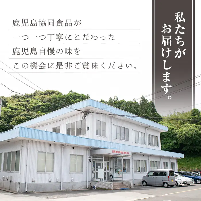 【3か月定期便】鹿児島協同食品バラエティ定期便 鹿児島黒豚生餃子 合計144個（12個×12P）茶美豚の角煮 1kg（250g×4P）茶美豚メンチカツ 2.7kg（90g×30個）を3回に分けてお届け【00-008-32-TK】