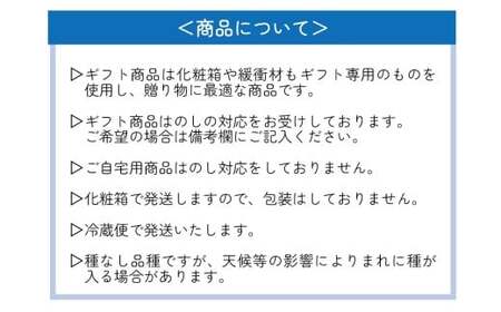 【2026年先行予約】 ここちとふぁーむ 【ギフト】 岡山県産 シャインマスカット＆旬のおまかせぶどう 2～3房 約1kg 【koko015-01】