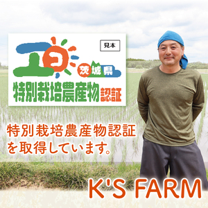 先行予約 令和8年産 特別栽培農産物認証 コシヒカリ 玄米 ５kg 特栽米 ネオニコフリー 減農薬 減化学肥料 安心 安全 こしひかり 白米 弁当 おにぎり オニギリ 有機肥料 特別栽培米 エコ農産物 茨城県産米【2026年9月より順次発送】(86-02)