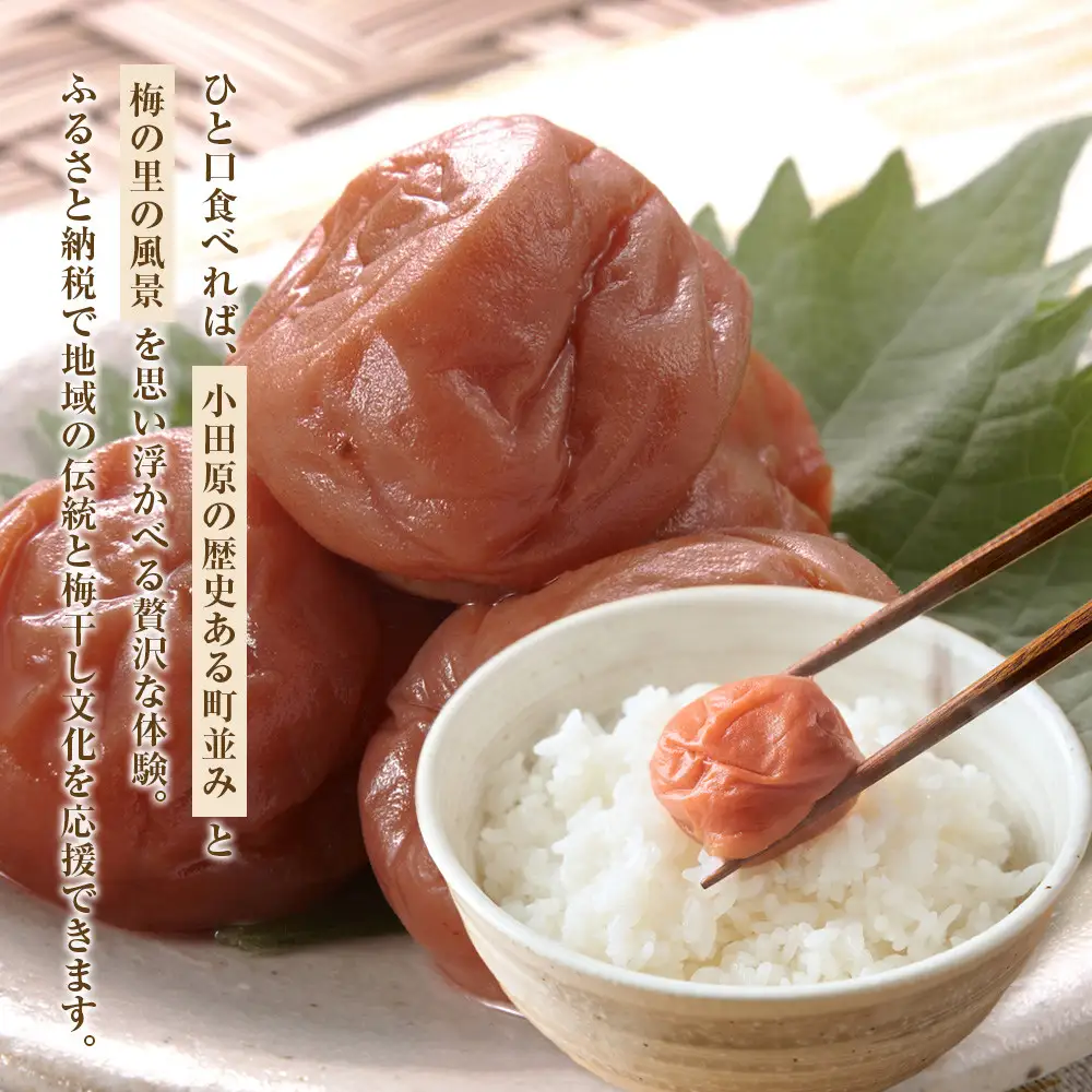 小田原老舗店が作った梅干しカップ3種類セット