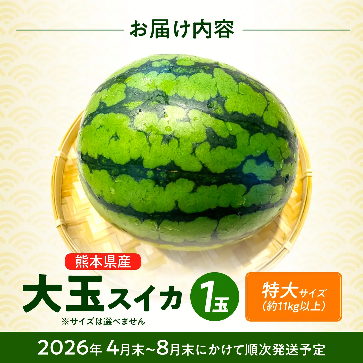 【先行予約】 大玉スイカ！ 特大サイズ（約11kg以上）　厳選 1玉！ すいかの名産地 熊本からお届け 【城野農園】[ZFV003]