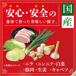 旨味たっぷり！本場プロの中華料理人が作る みとしゃん生餃子 40個（CS-2）
