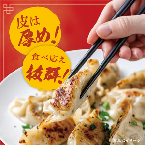 旨味たっぷり！本場プロの中華料理人が作る みとしゃんジャンボ餃子 20個（CS-4）