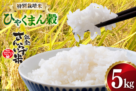 米 令和7年産 特別栽培米 ひゃくまん穀 5kg 白米 [合同会社NotoSunriseFarm 石川県 宝達志水町 38601322]