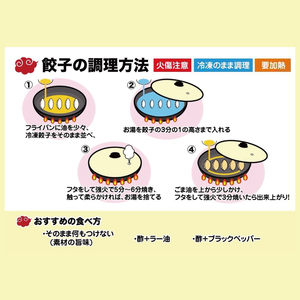 旨味たっぷり！本場プロの中華料理人が作る みとしゃんジャンボ餃子プレミアム 16個（CS-8）