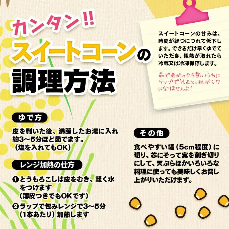 【先行予約】朝どれスイートコーン６kgとイートコーンドレッシングセット 2026年発送＜35-3a＞★