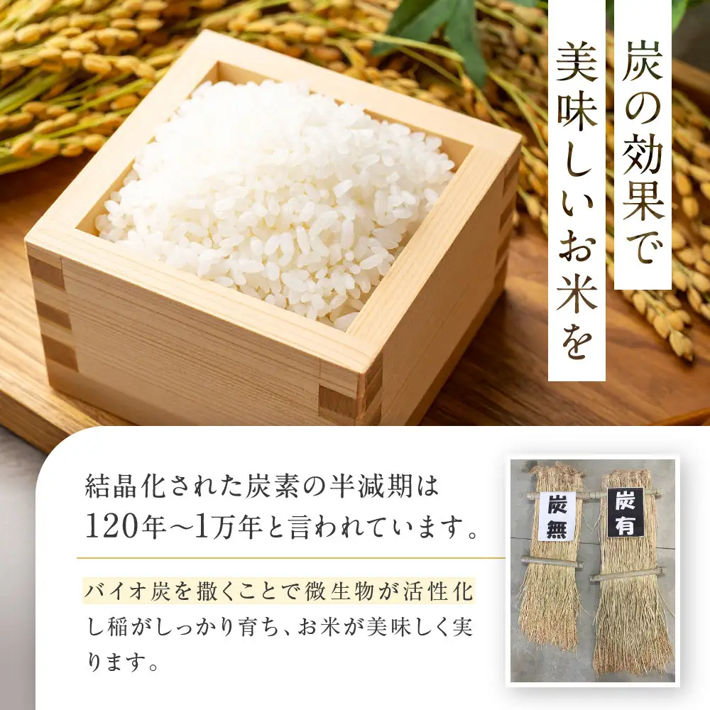 【令和7年産】つや姫 5kg×1 CO2削減 環境配慮米｜7年産米 つや姫 ブランド米 銘柄米 SDG’s 宮城県角田市産 米 コメ 白米 精米