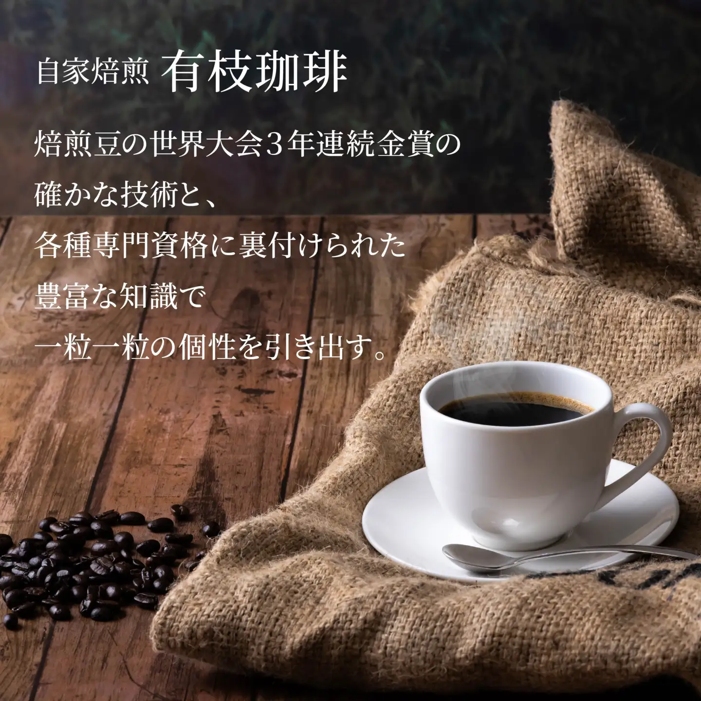 有枝珈琲 コーヒー豆 3種 詰め合わせ セット イエメニア トロピカル アフリカ ブレンド 飲み比べ 自家焙煎 青森県 八戸市