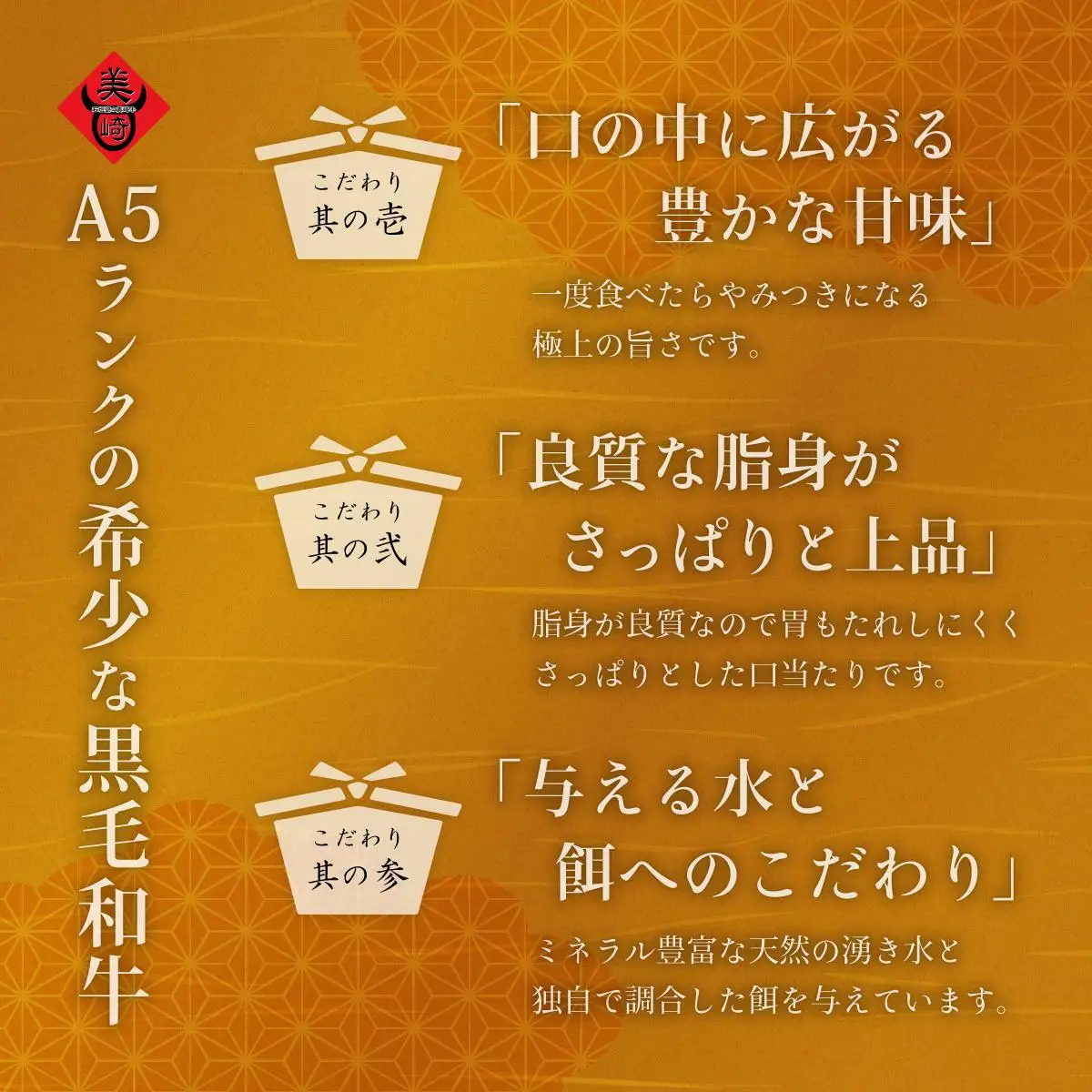美崎牛 厳選5種 焼肉食べ比べセット 250g