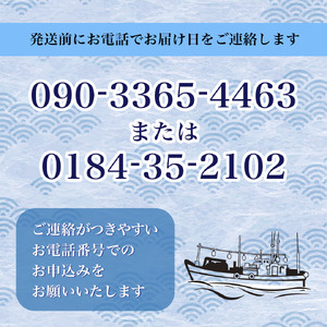 鮮魚 冷蔵 クール便「 開けたらすぐ食べられる下処理済み 海産物 4～5人前 セット 」さとう鮮魚店【 パック 詰め合わせ 海鮮セット 鮮魚ボックス 海鮮 海の幸 魚介 魚介類 刺身 切り身  秋田県 にかほ 】