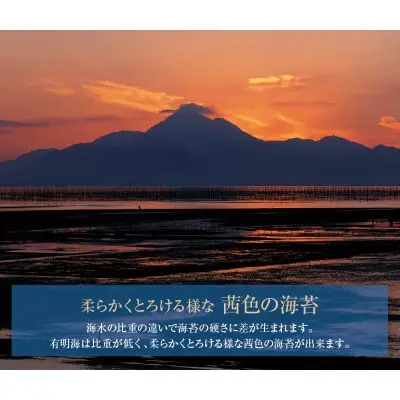Z26-85 有明海産 焼き海苔 ボトル4本（10切100枚×4本 計400枚)定期便(毎月×3回) 海苔