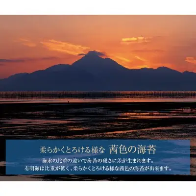 Z26-86 有明海産 焼き海苔 ボトル4本（10切100枚×4本 計400枚)定期便(毎月×6回) 焼き海苔