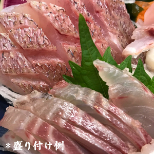 [ととパッチョ] 相模湾の天然真鯛 計240g (60g×4袋)《手軽にカルパッチョができるお魚スライス真空パック －80℃旬間凍結品》 [0916]